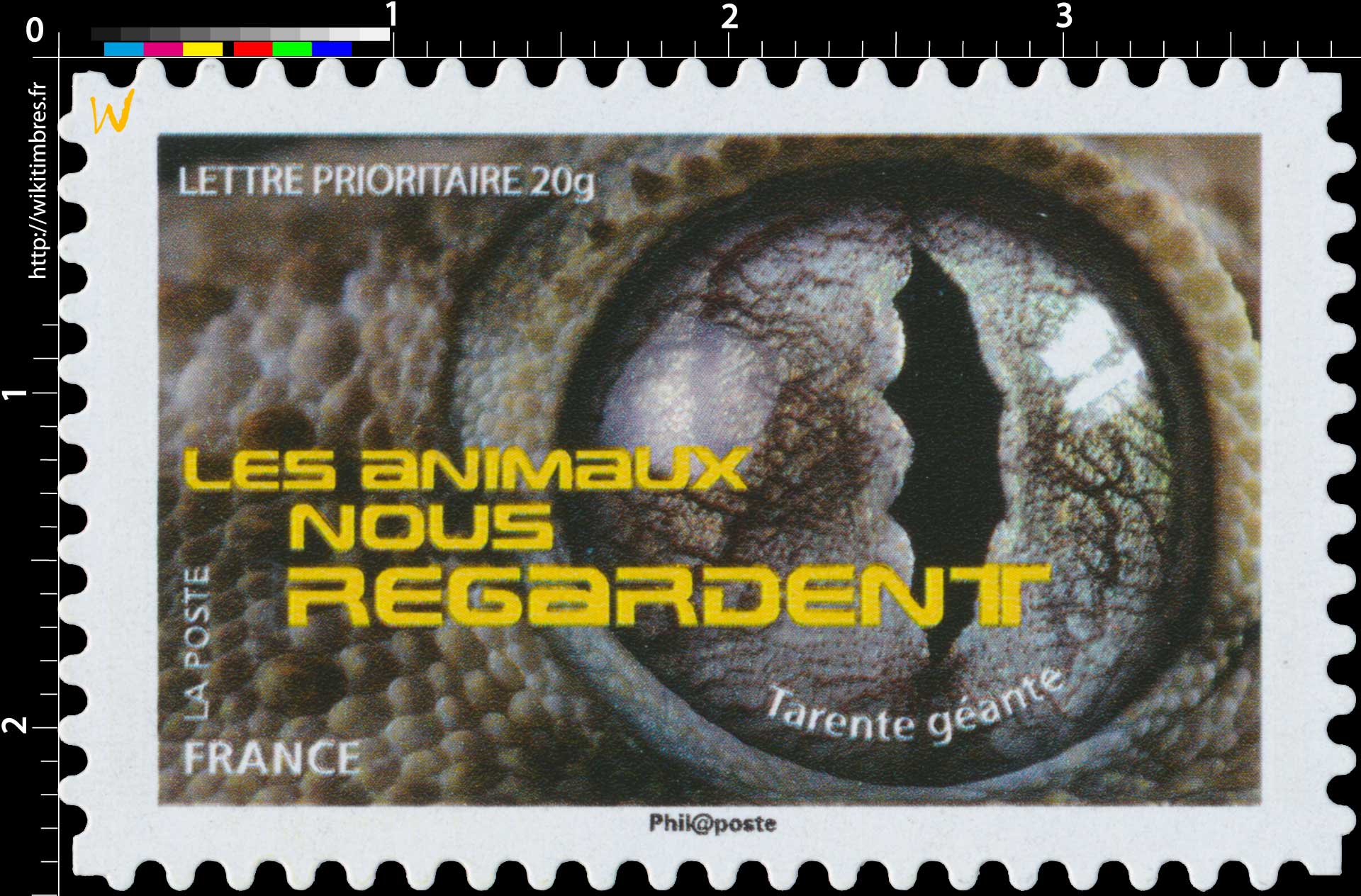 2015 LES ANIMAUX NOUS REGARDENT - Tarente géante 