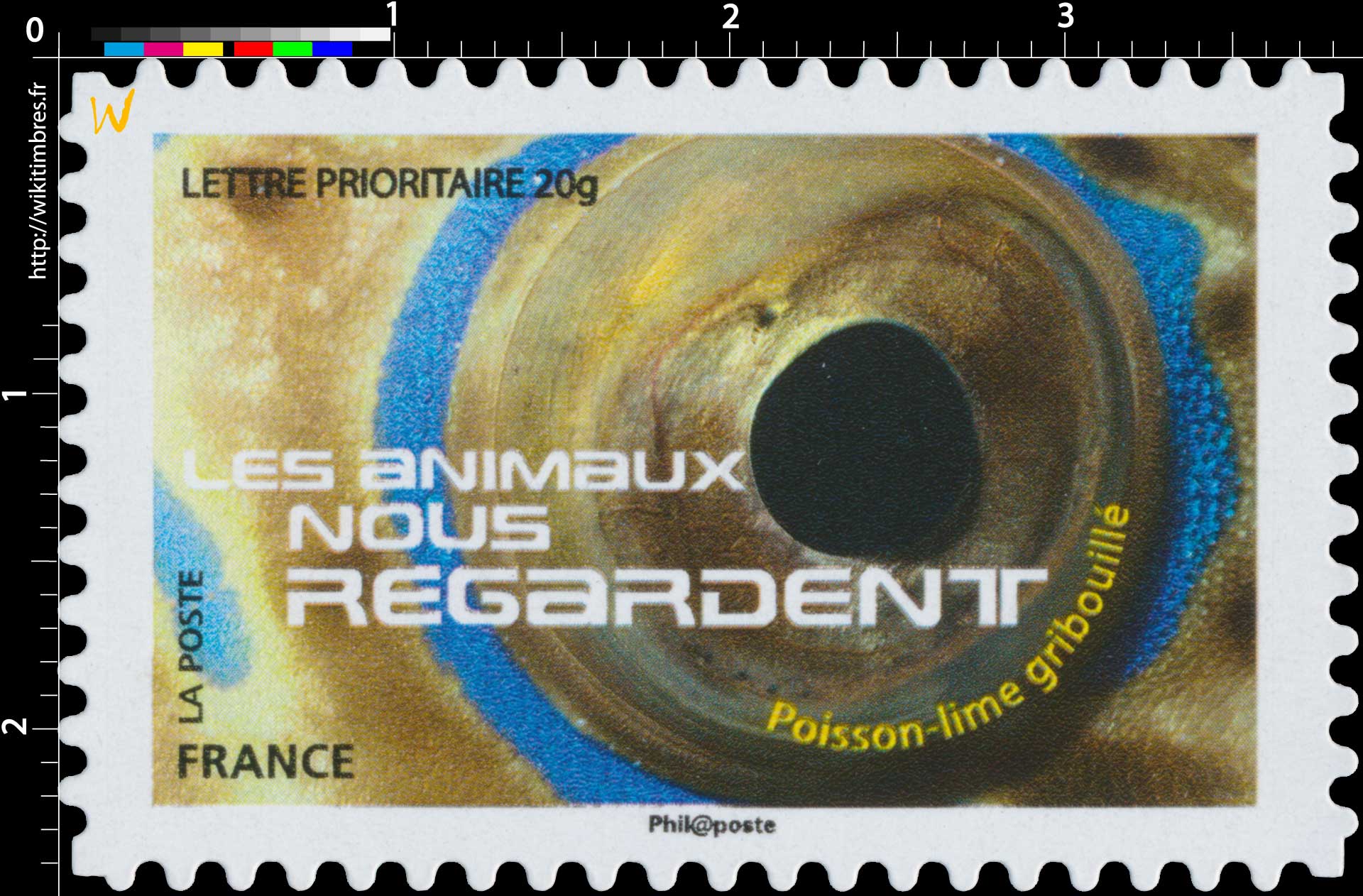 2015 LES ANIMAUX NOUS REGARDENT - Poisson-lime gribouillé 
