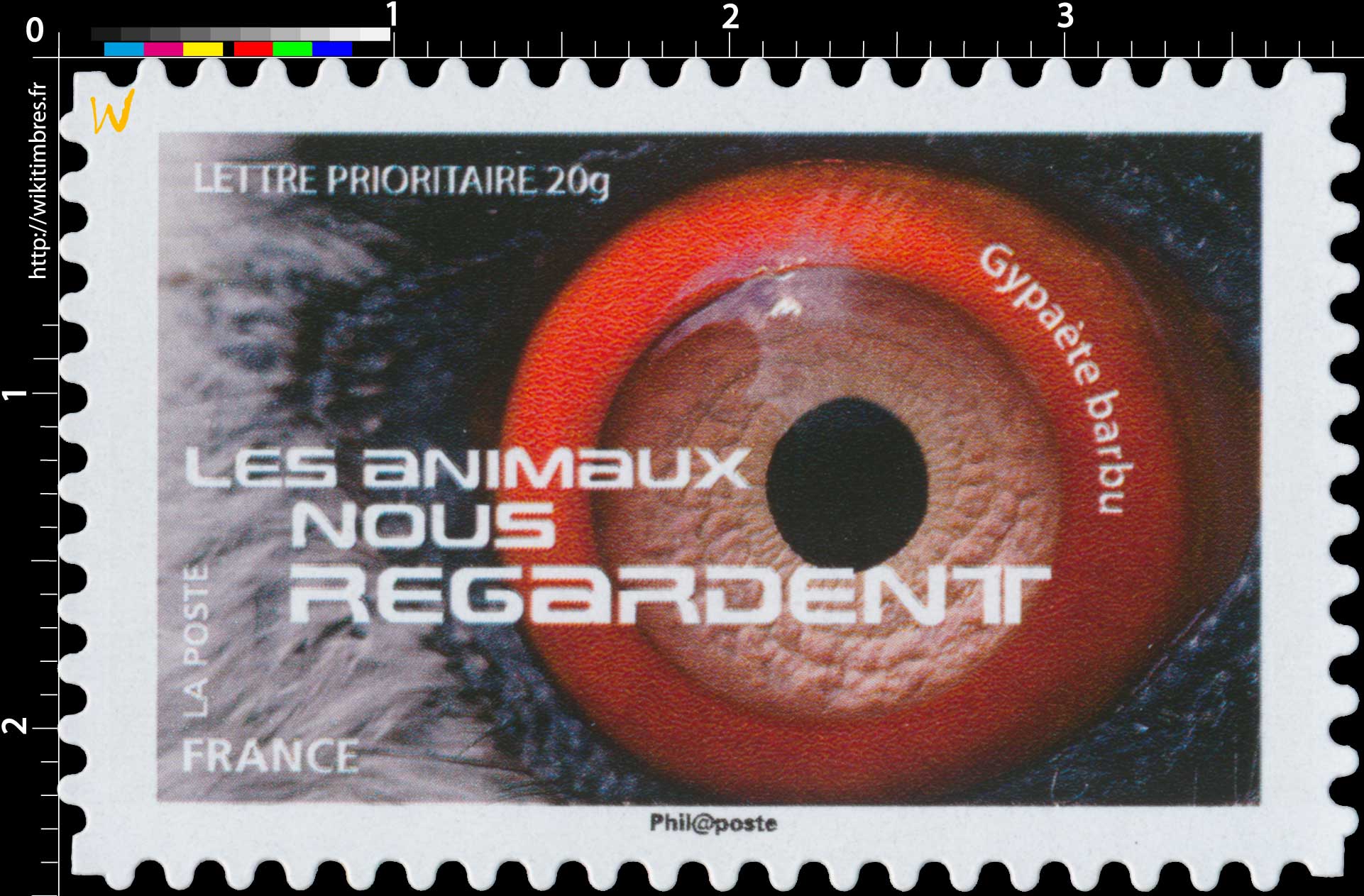 2015 LES ANIMAUX NOUS REGARDENT - Gypaète barbu 