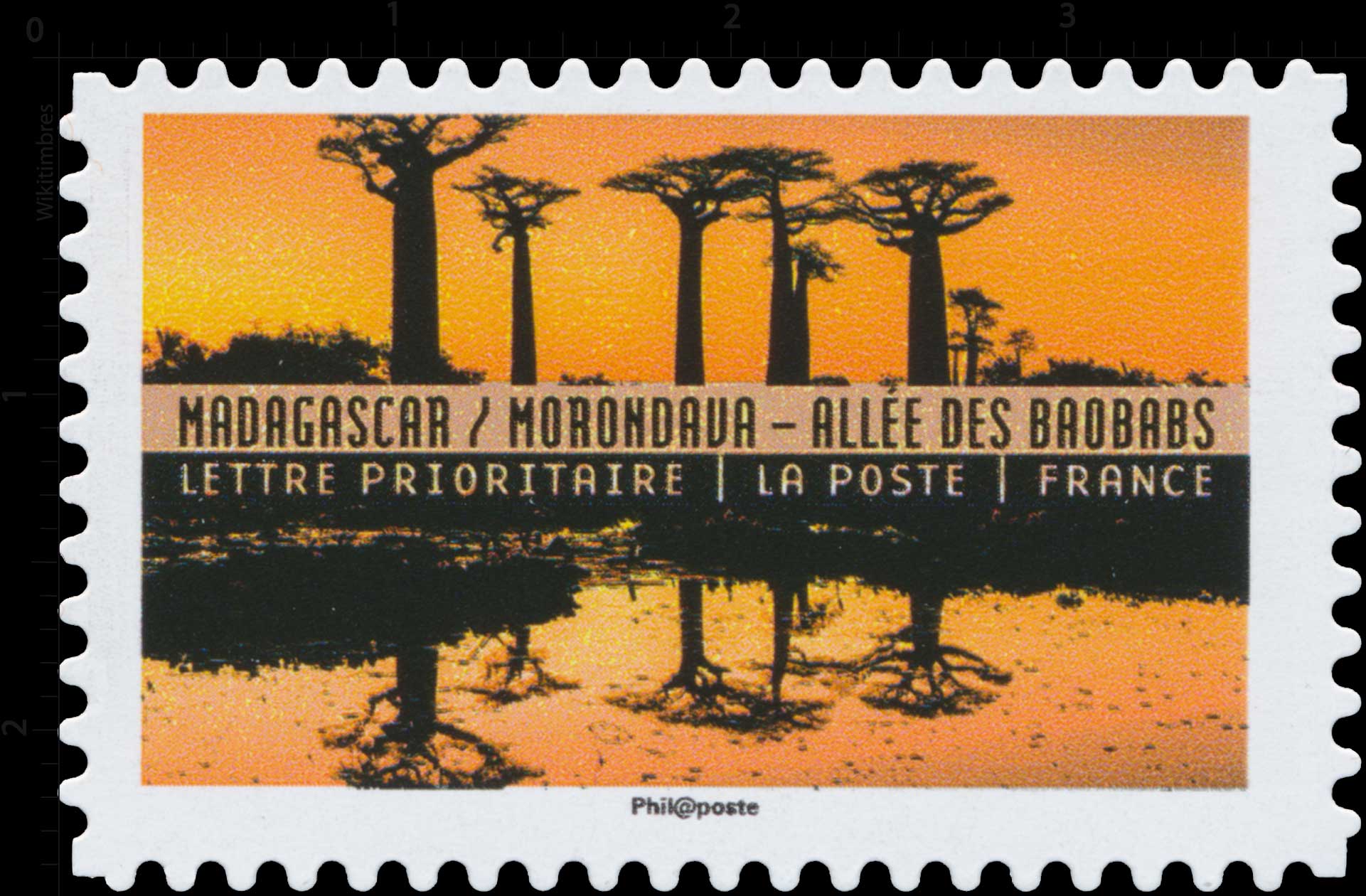 2017 Madagascar / Morondava - Allée des baobabs