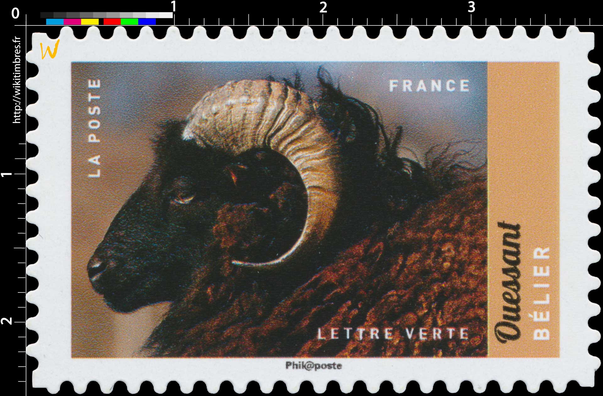 2017 Ouessant - Bélier