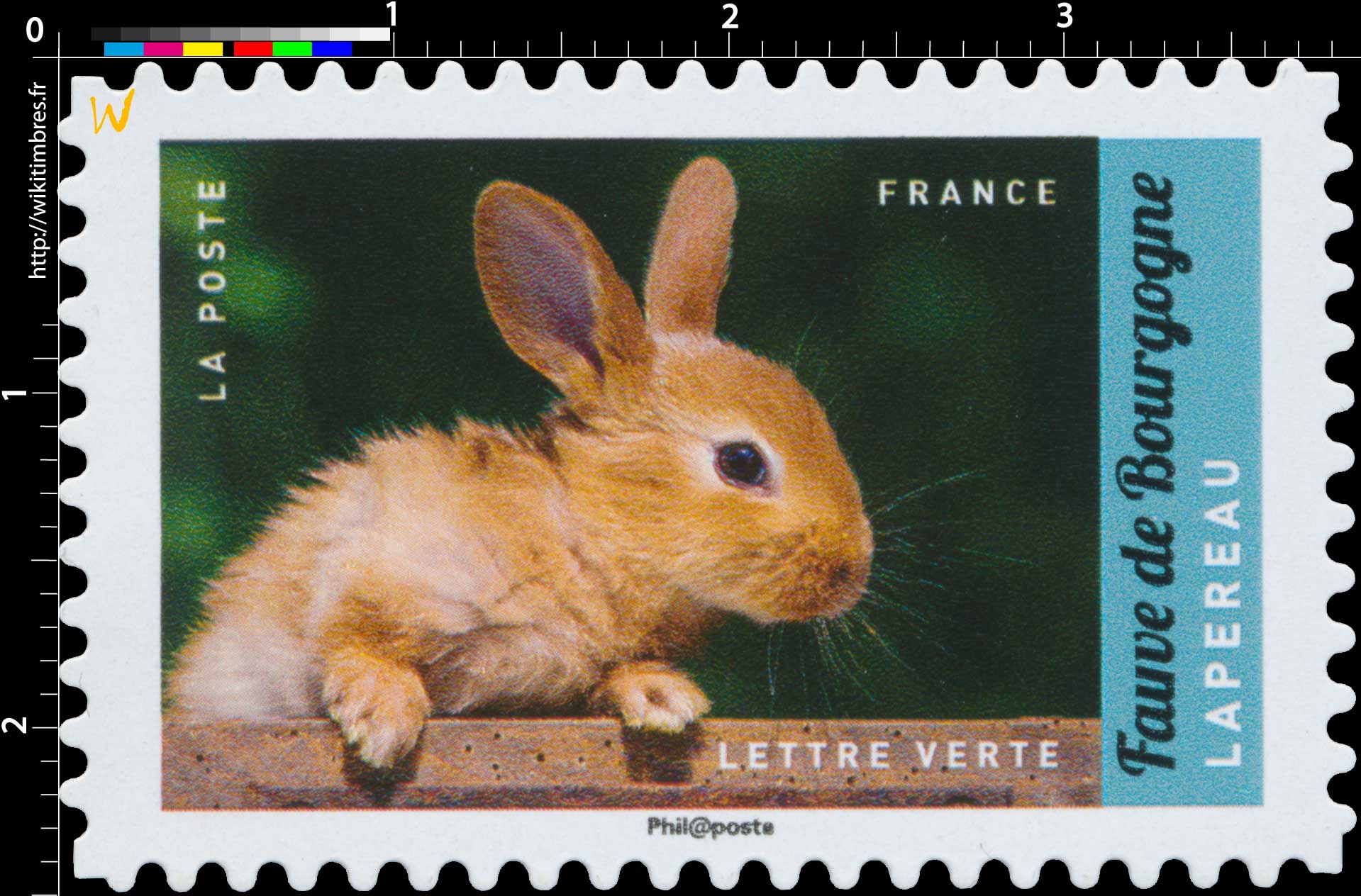 2017 fauve de Bourgogne - Lapereau