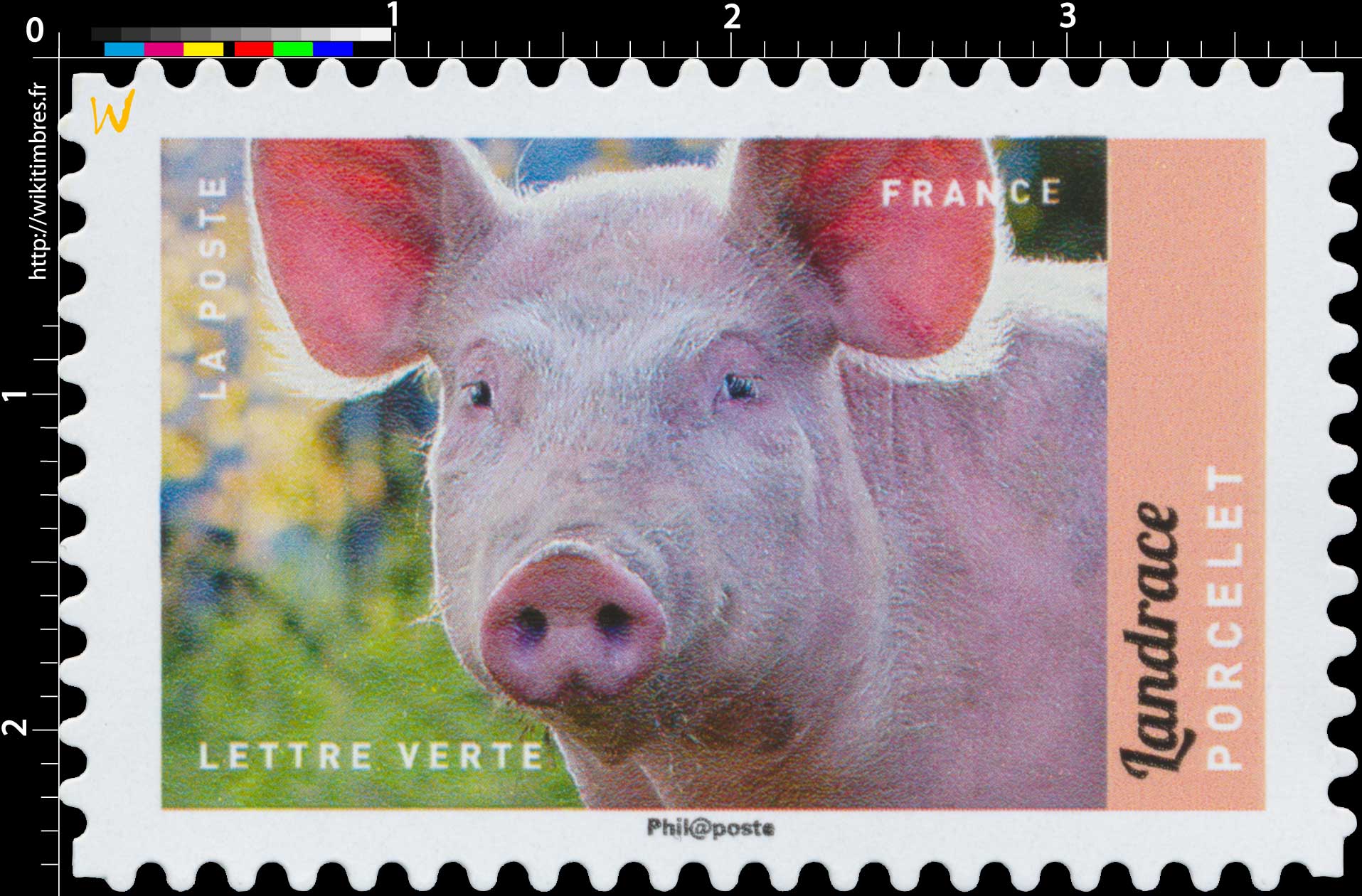 2017 landrace - Porcelet