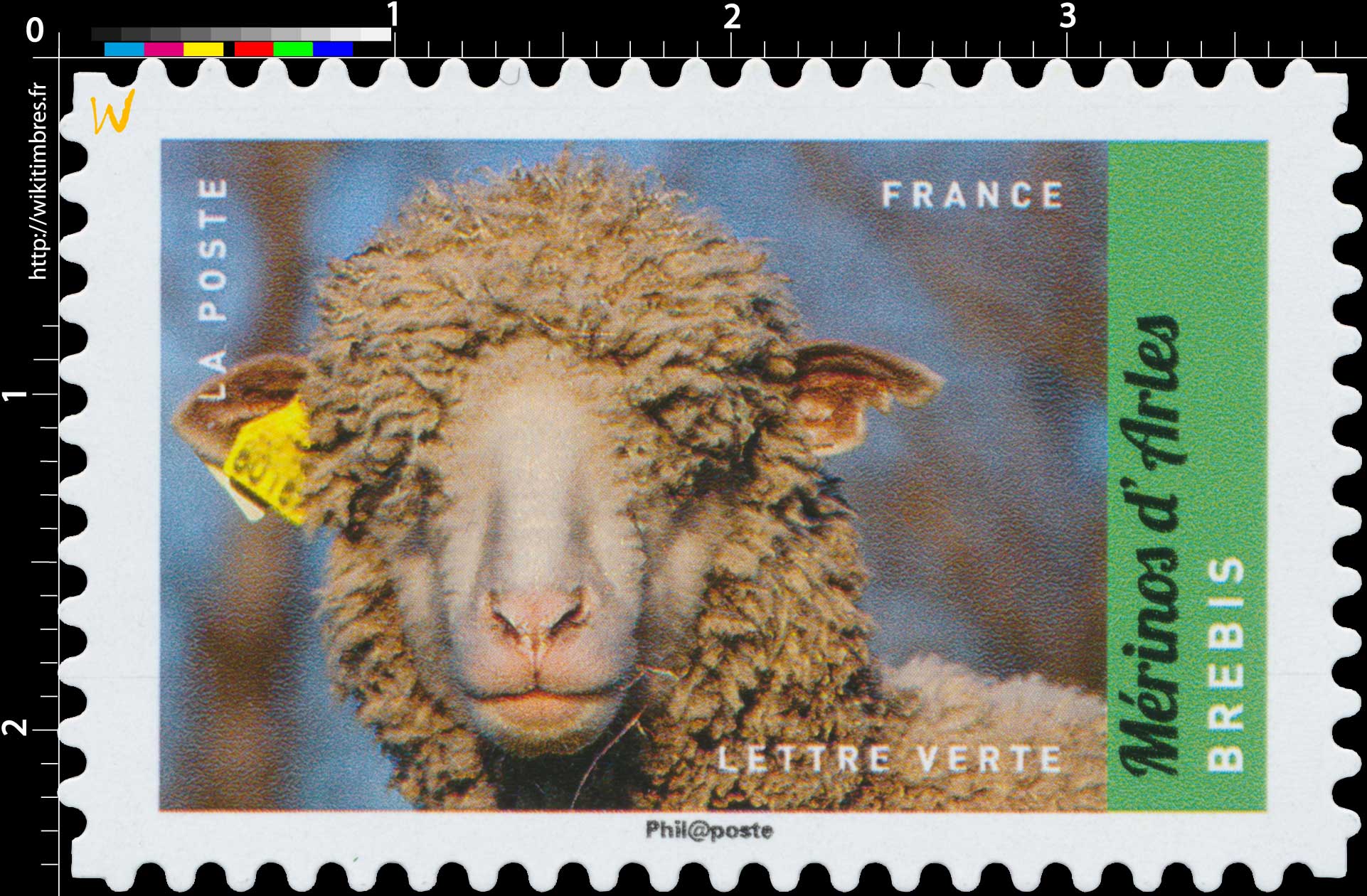 2017 Mérinos d'Arles - Brebis