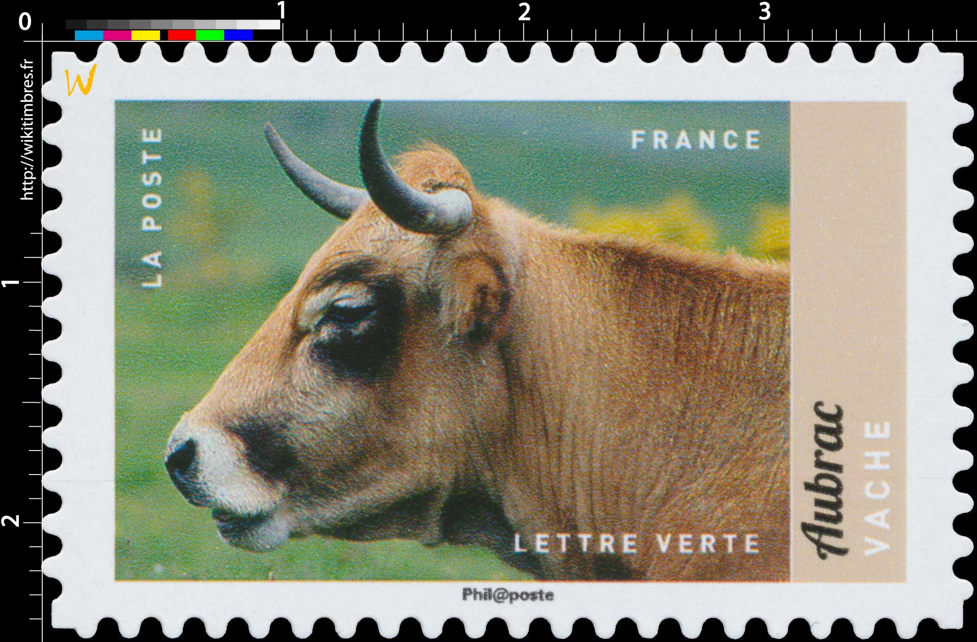 2017 Aubrac- Vache