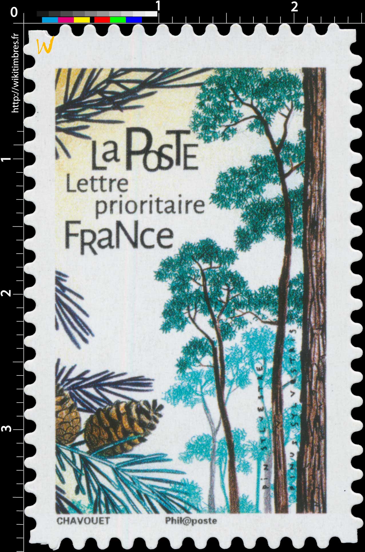 2018 Pin sylvestre - Pinus sylvestris