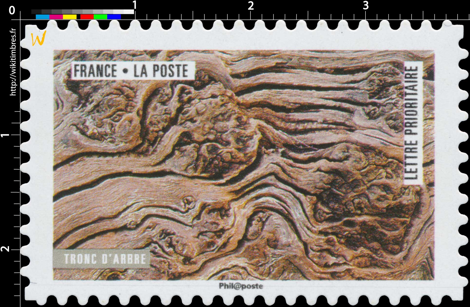 2018 Tronc d’arbre