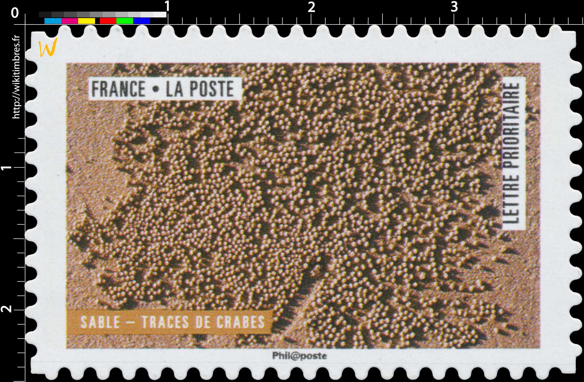 2018 Sable – Traces de crabes 