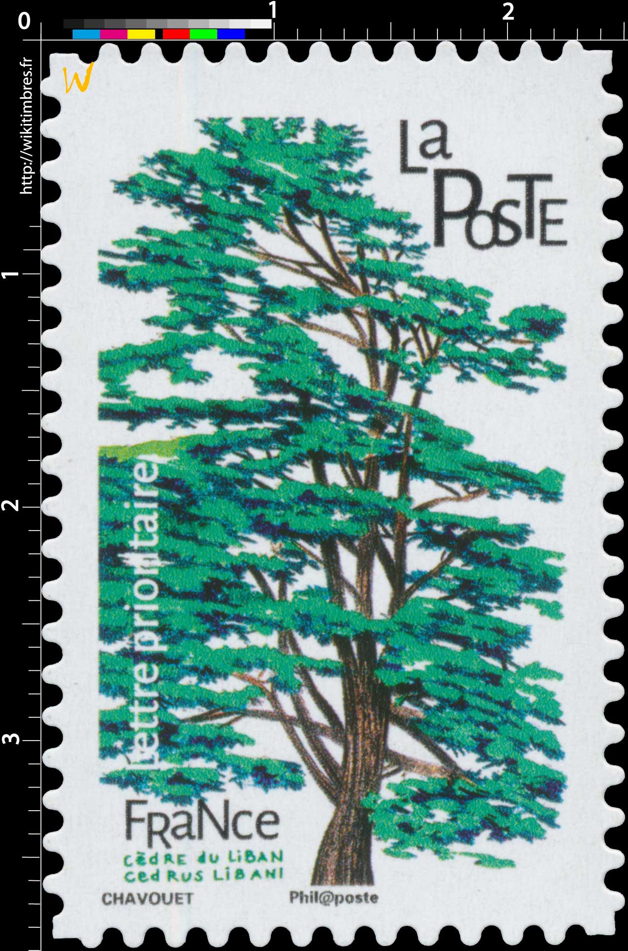 2018 Cèdre du Liban - Cedrus libani