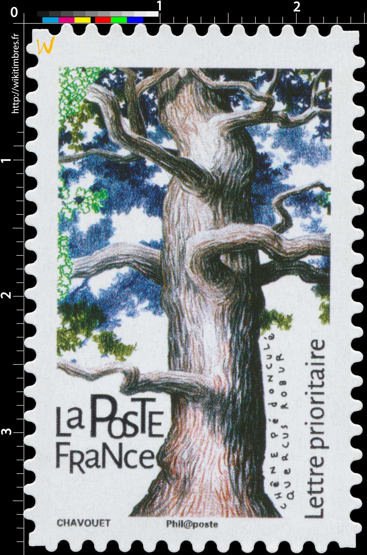 2018 Chêne pédonculé - Quercus robur