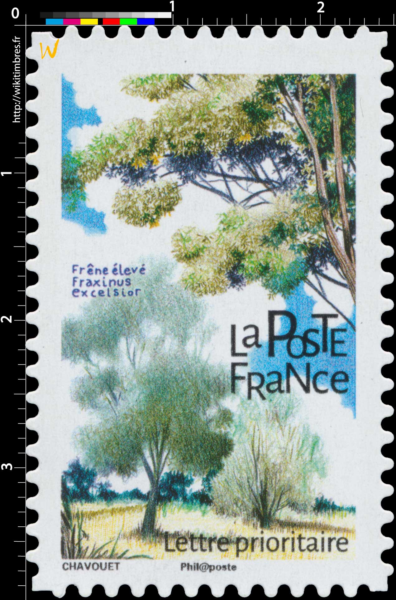 2018 Frêne élevé - Fraxinus excelsior