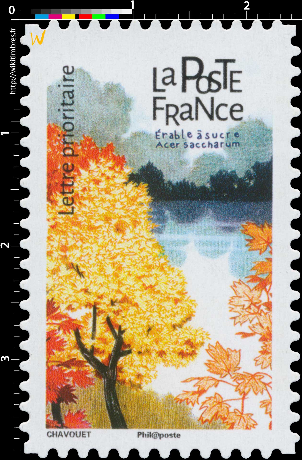 2018 Érable à sucre - Acer saccharum