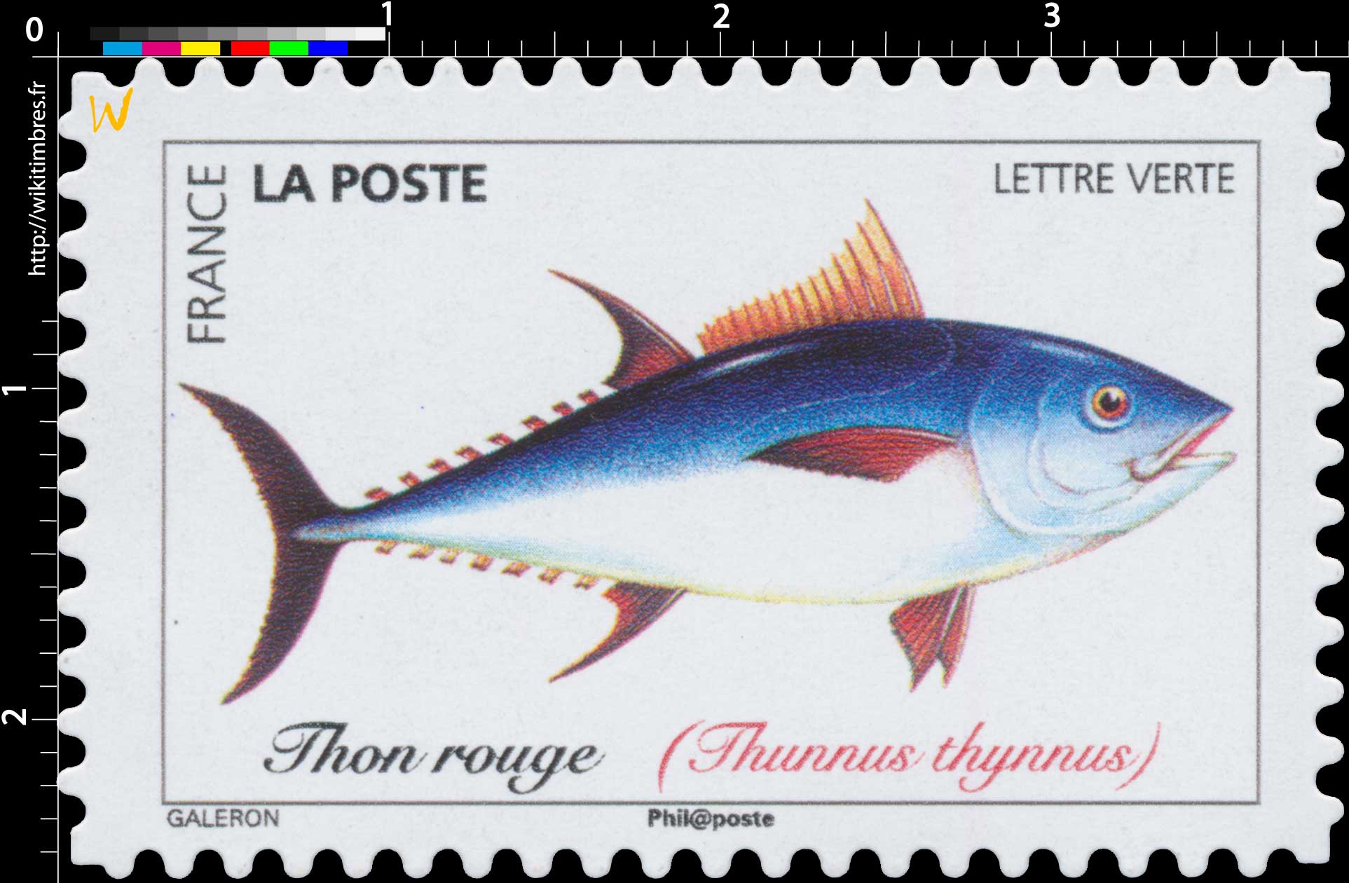 2019 Thon rouge (Thunnus thynnus)