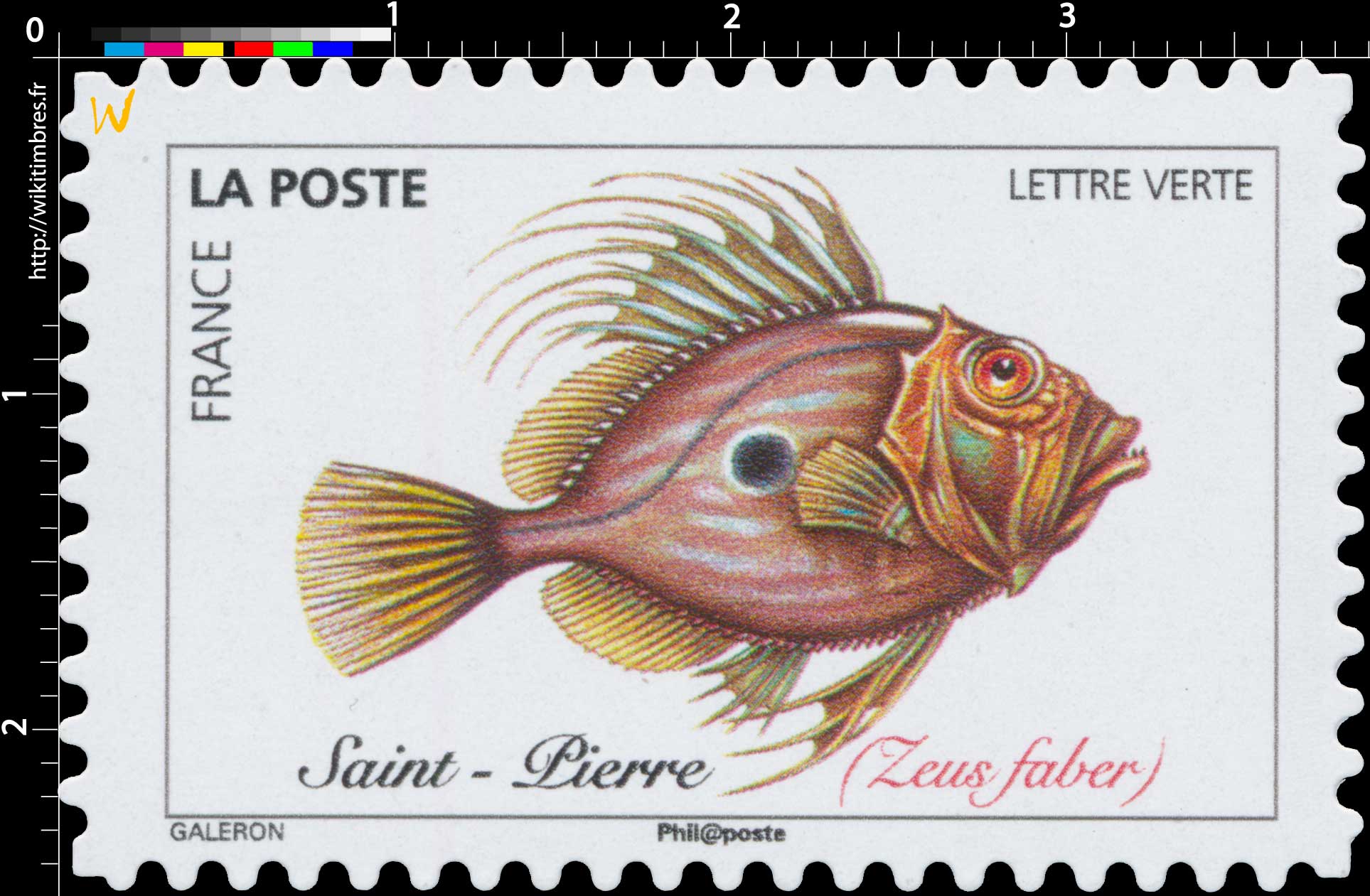 2019 Saint-Pierre (Zeus faber)