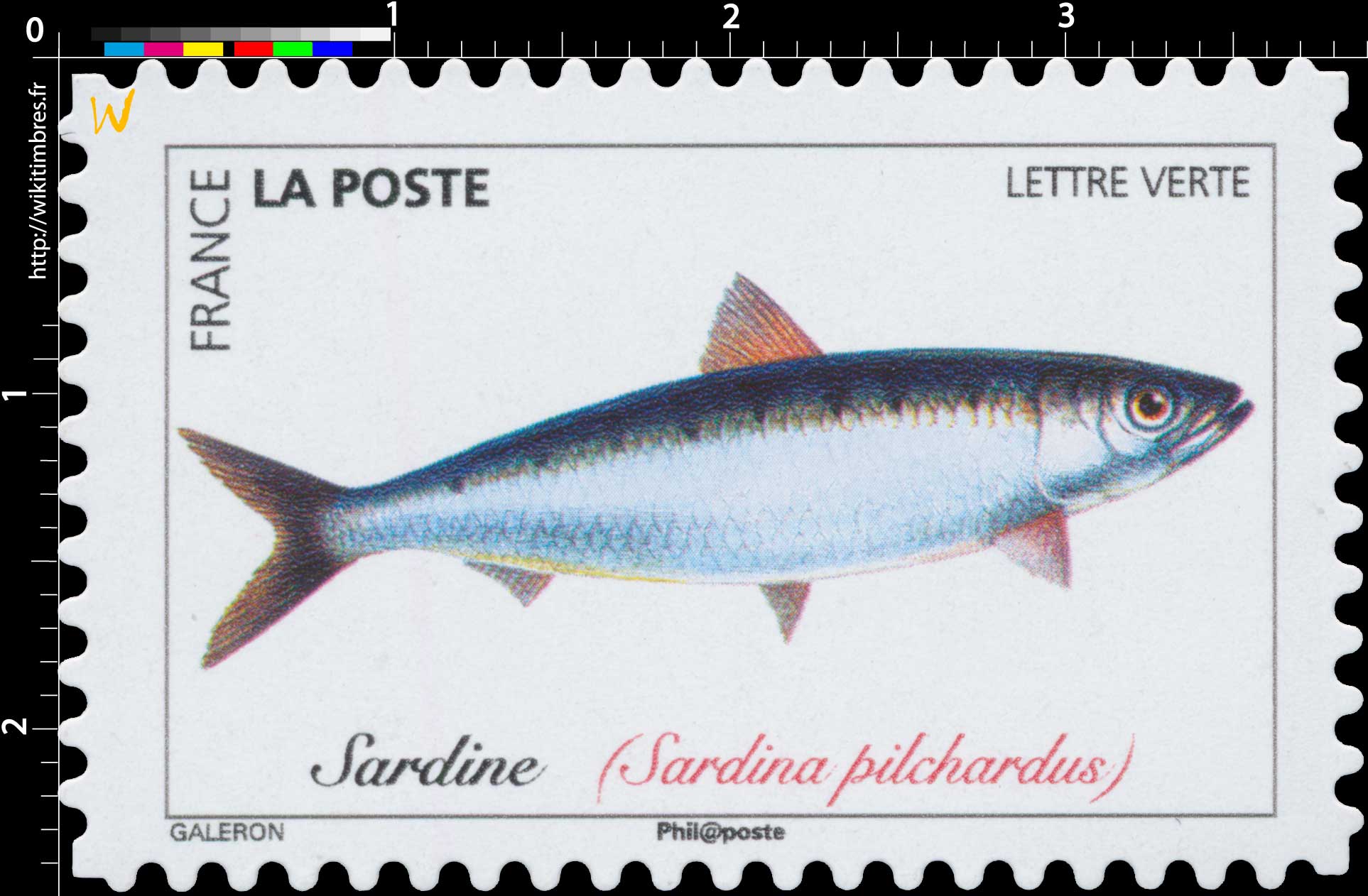 2019 Sardine (Sardina pilchardus)