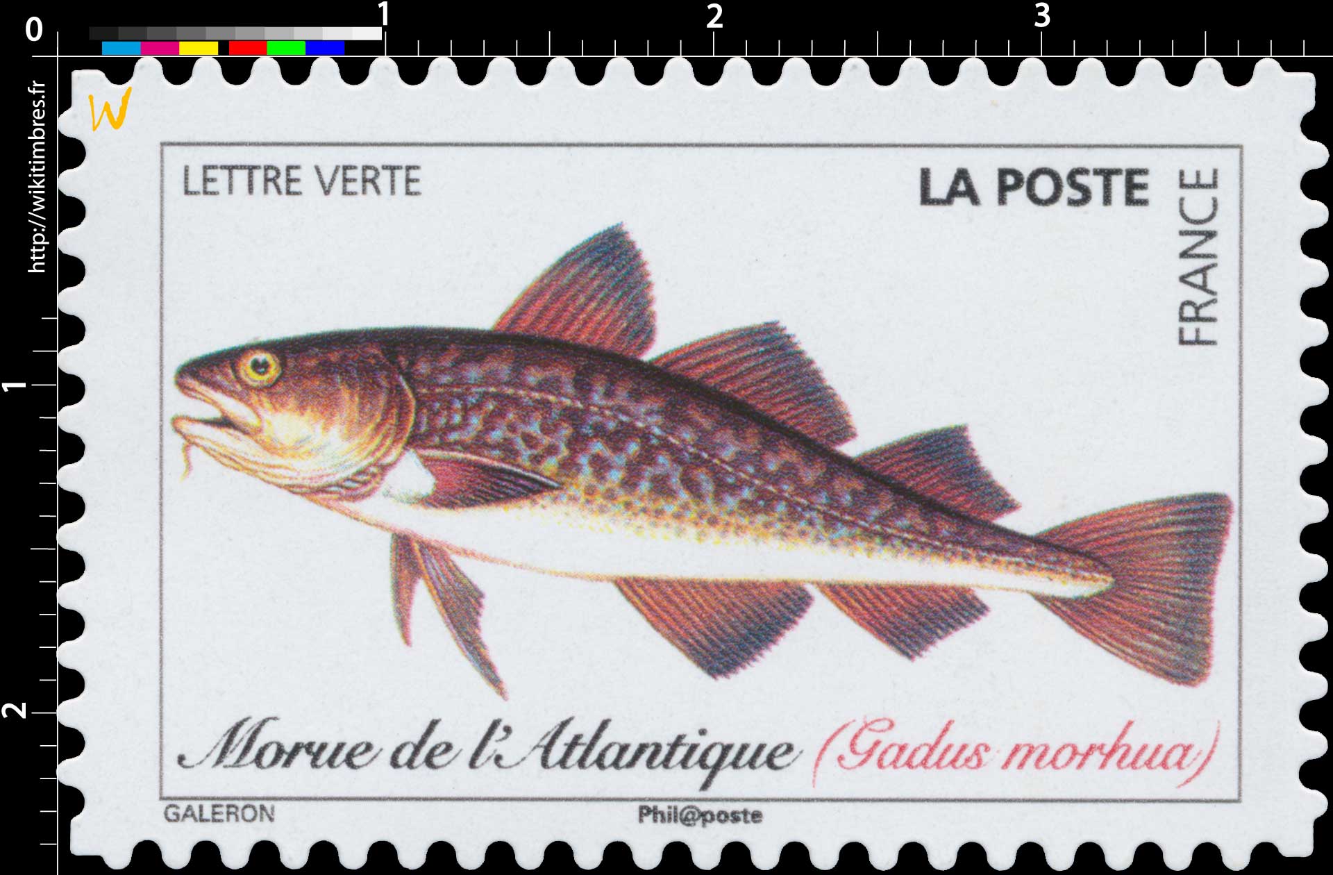 2019 Morue de l'Atlantique (Gadus morhua)