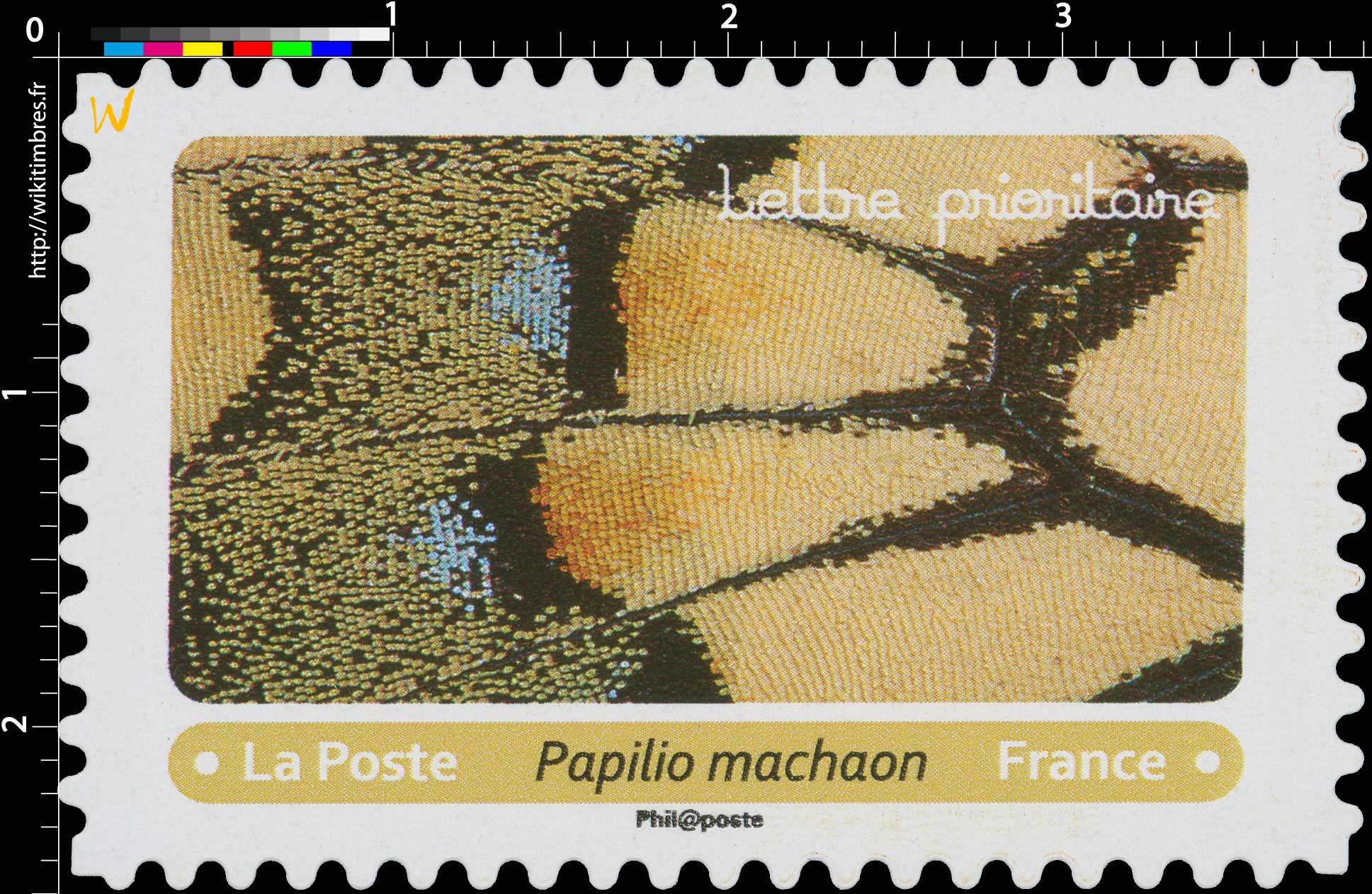 2020 Papilio machaon