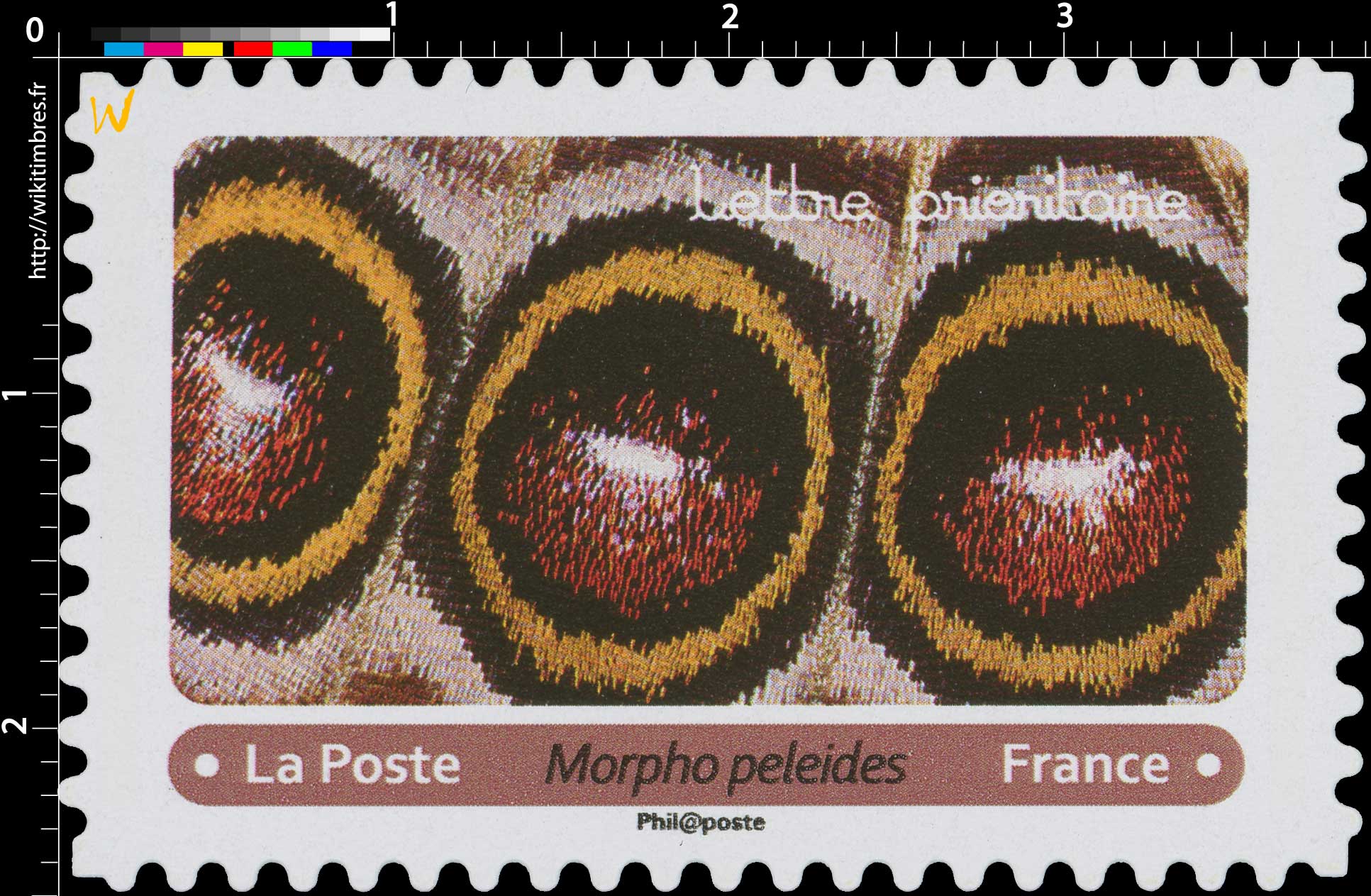 2020 Morpho peleides