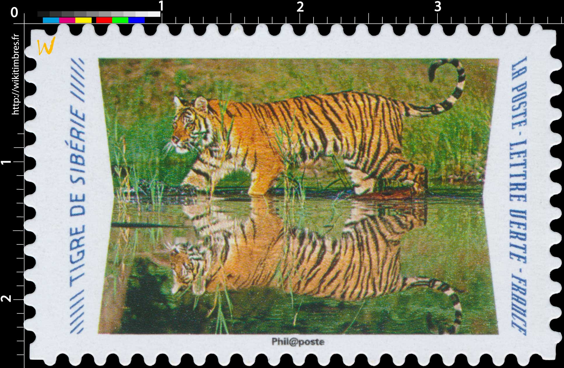 2020 Tigre de Sibérie