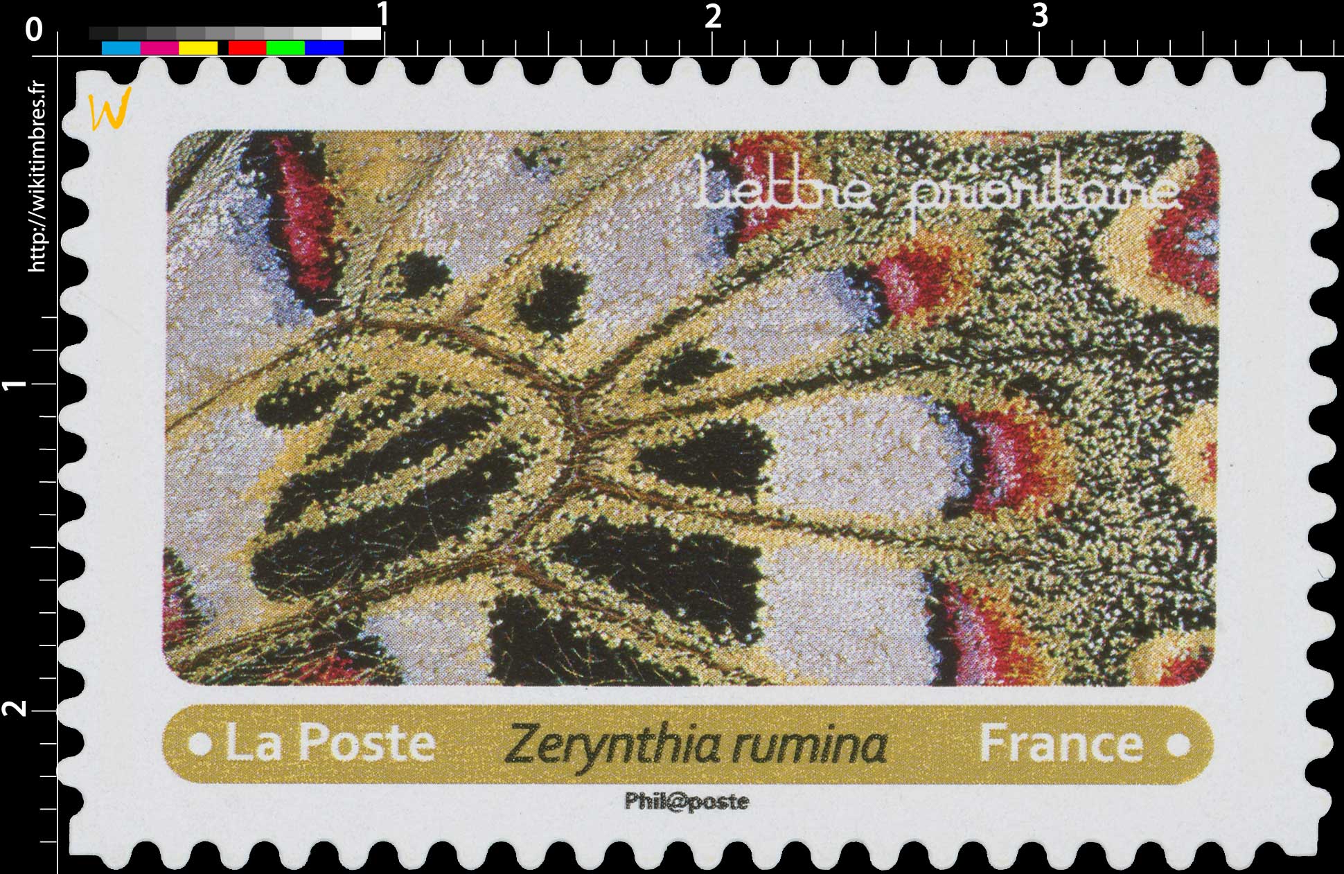 2020 Zerynthia rumina