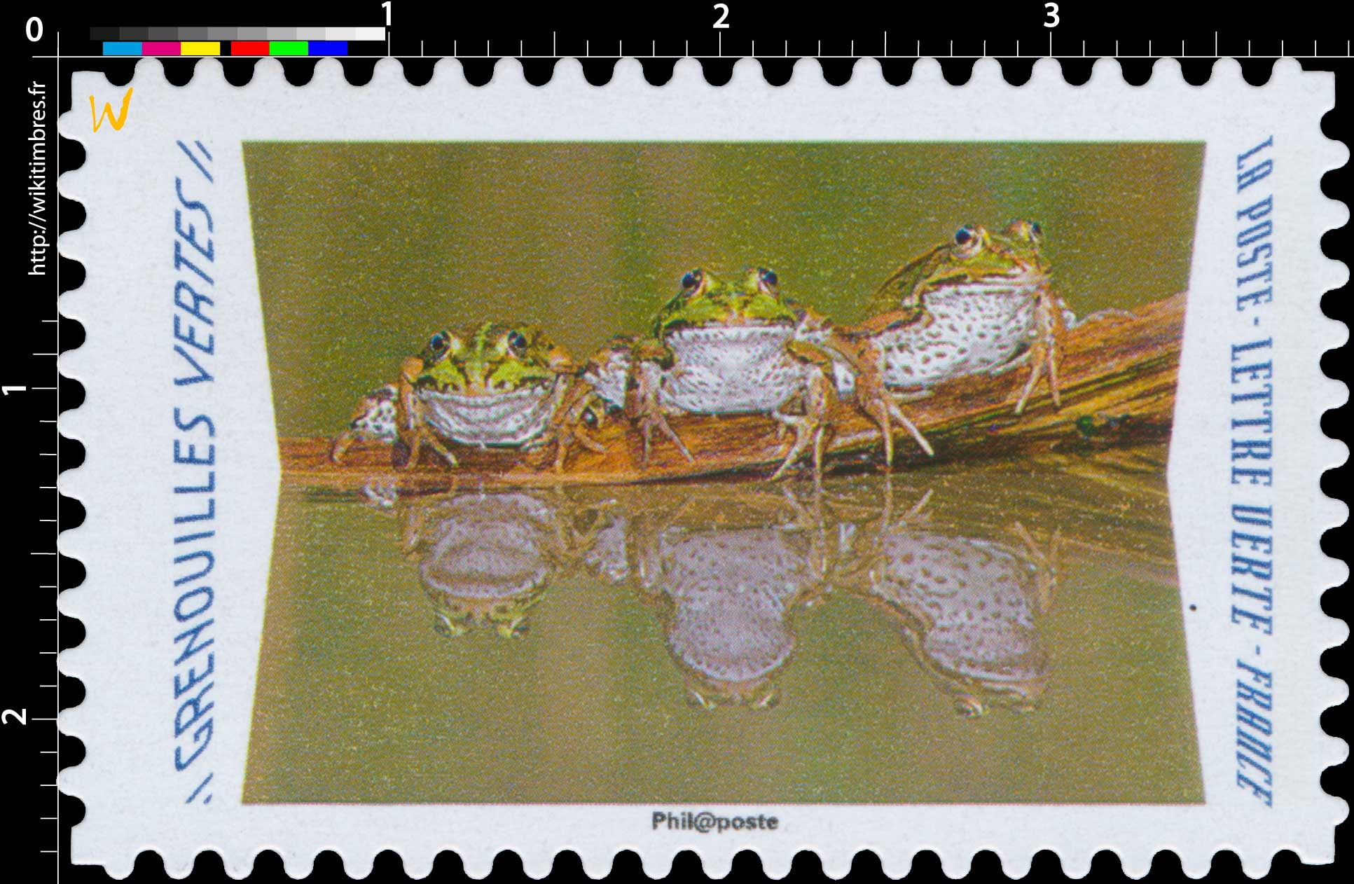 2020 Grenouilles vertes