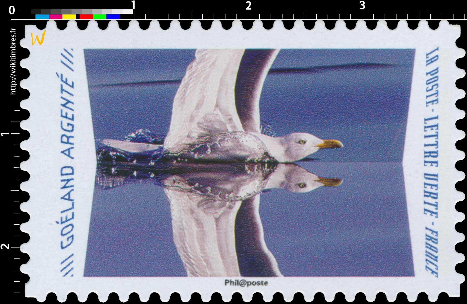 2020 Goëland argenté