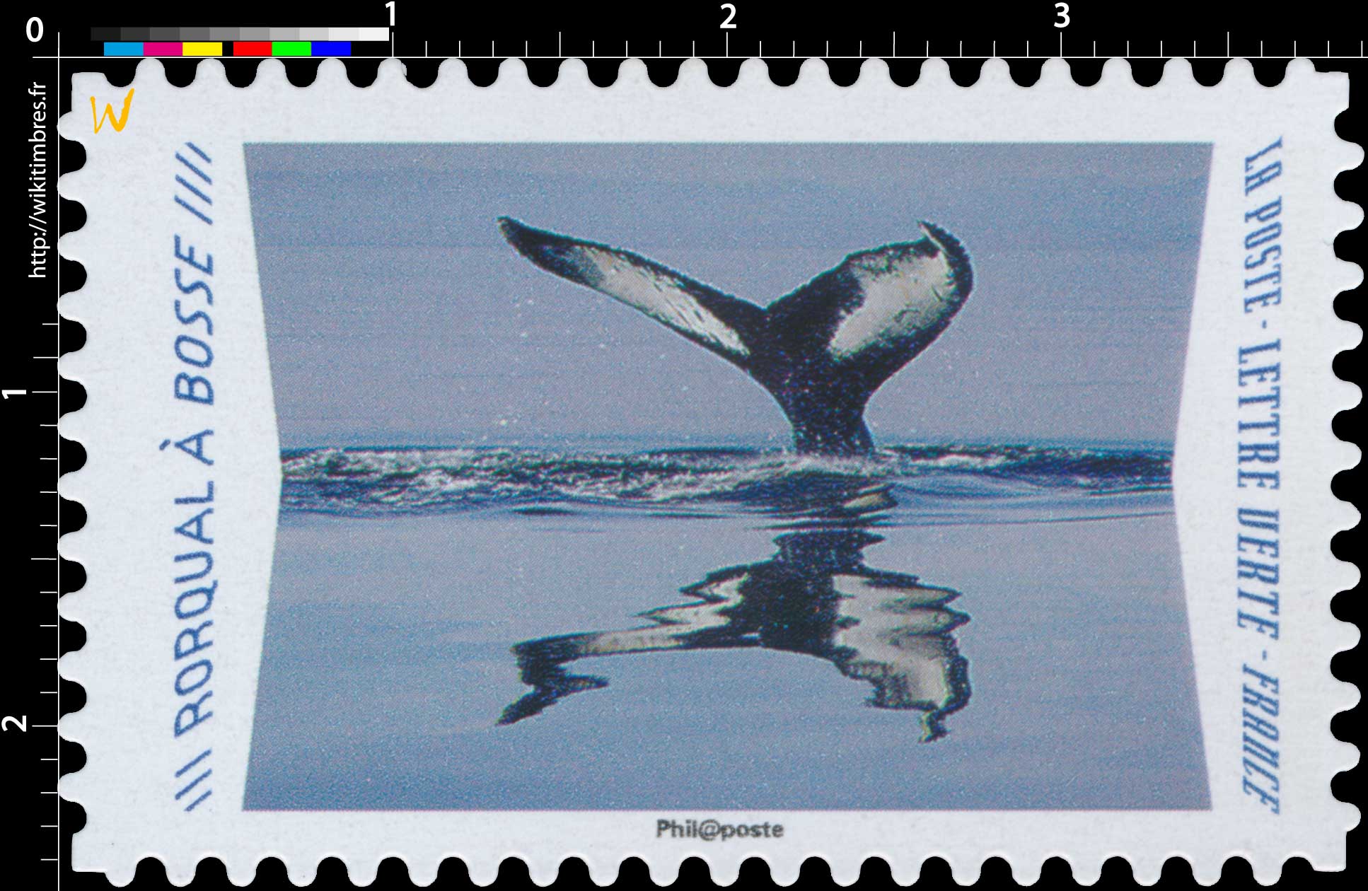 2020 Rorqual à bosse