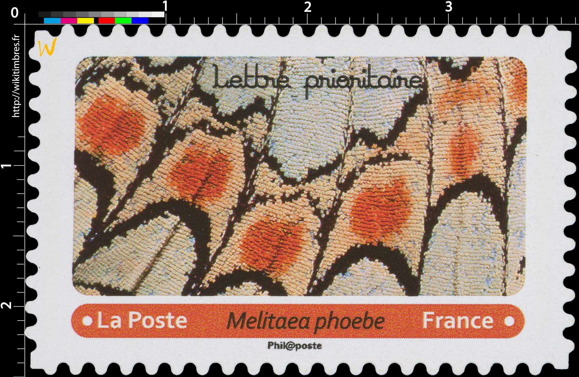 2020 Melitaea phoebe