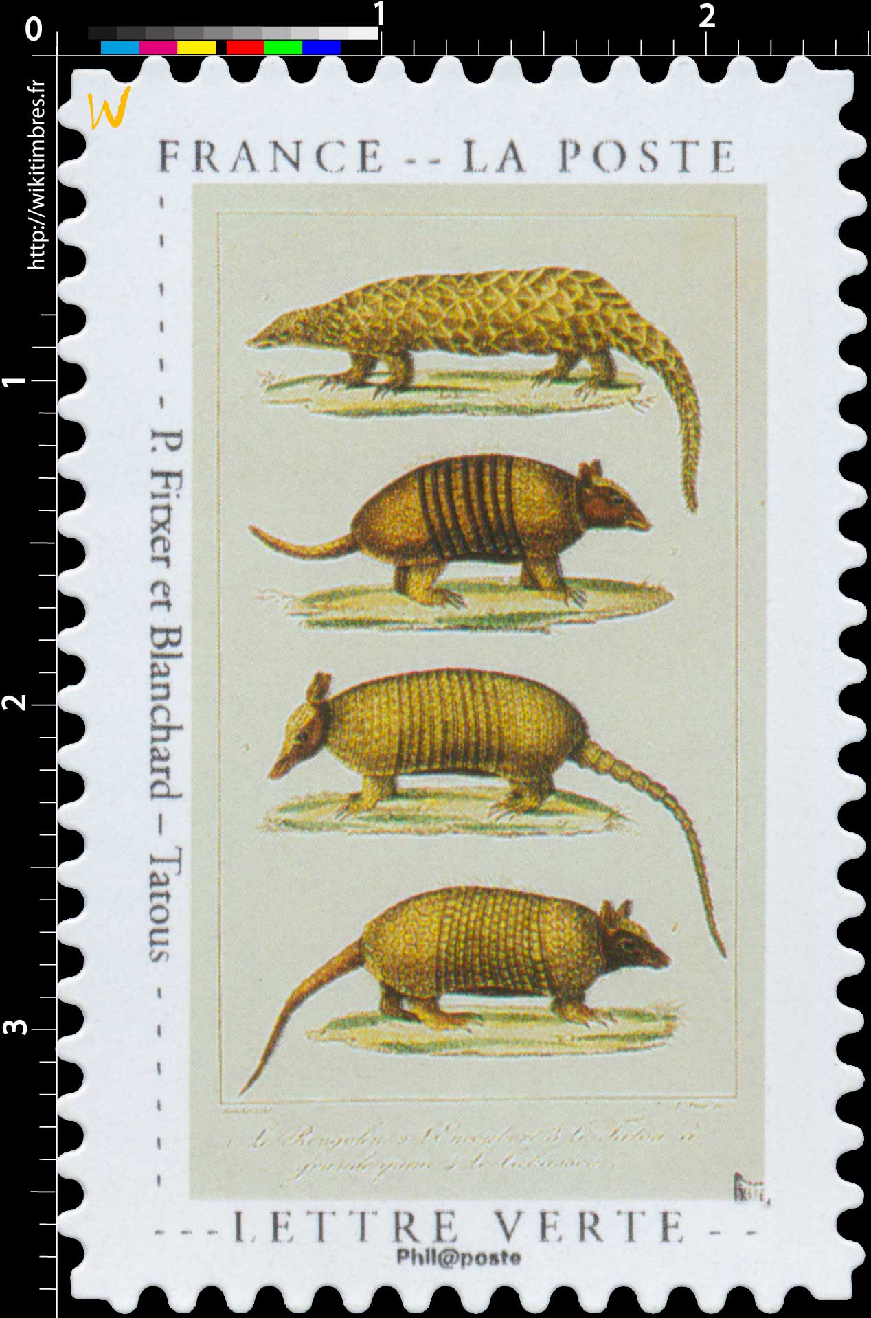 2020 P. Fitxer et Blanchard – Tatous