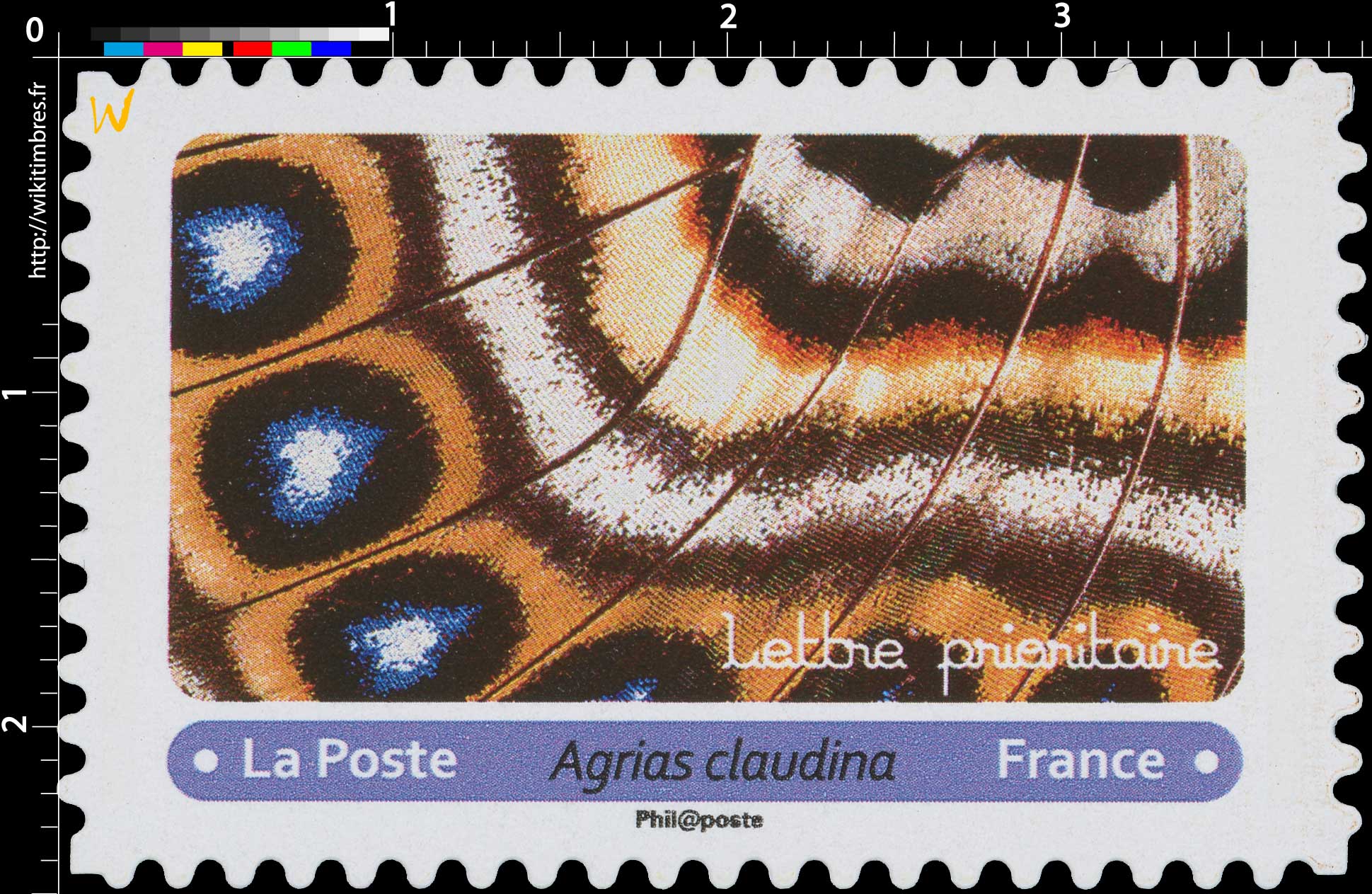 2020 Agrias claudina