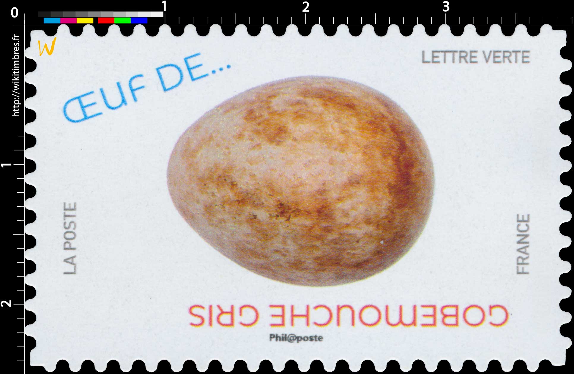 2020 Oeuf de Gobemouche gris