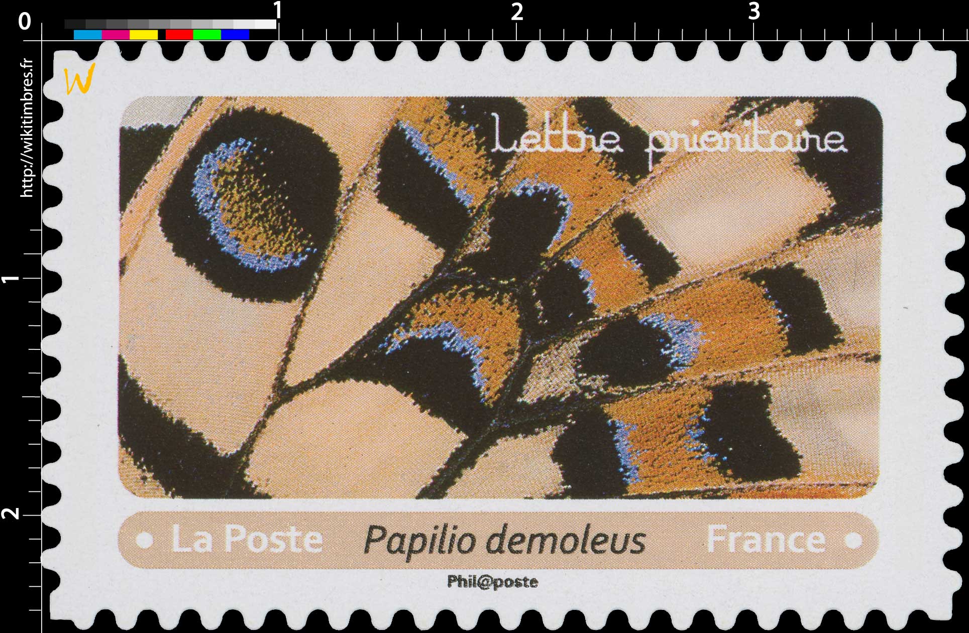 2020 Papilio demoleus
