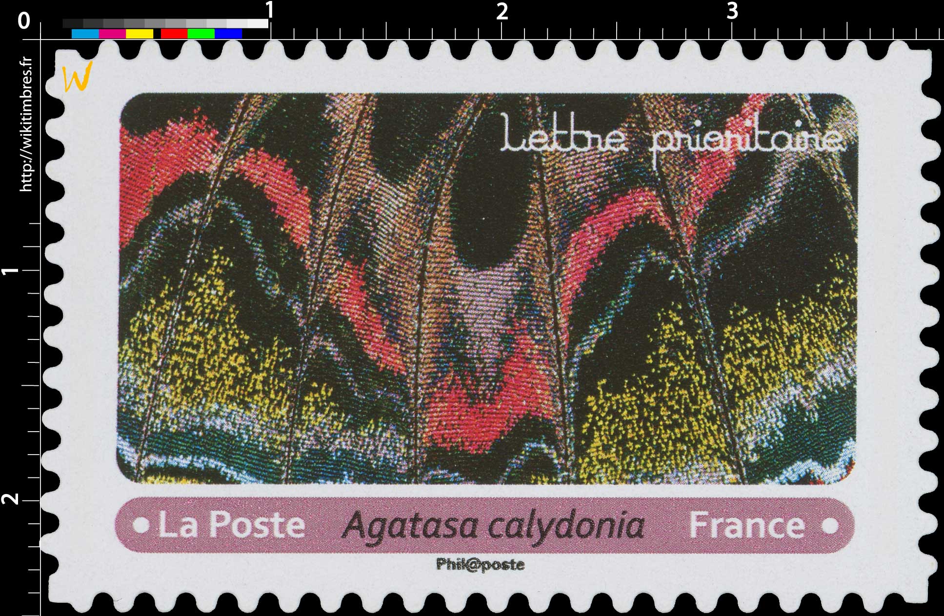 2020 Agatasa calydonia