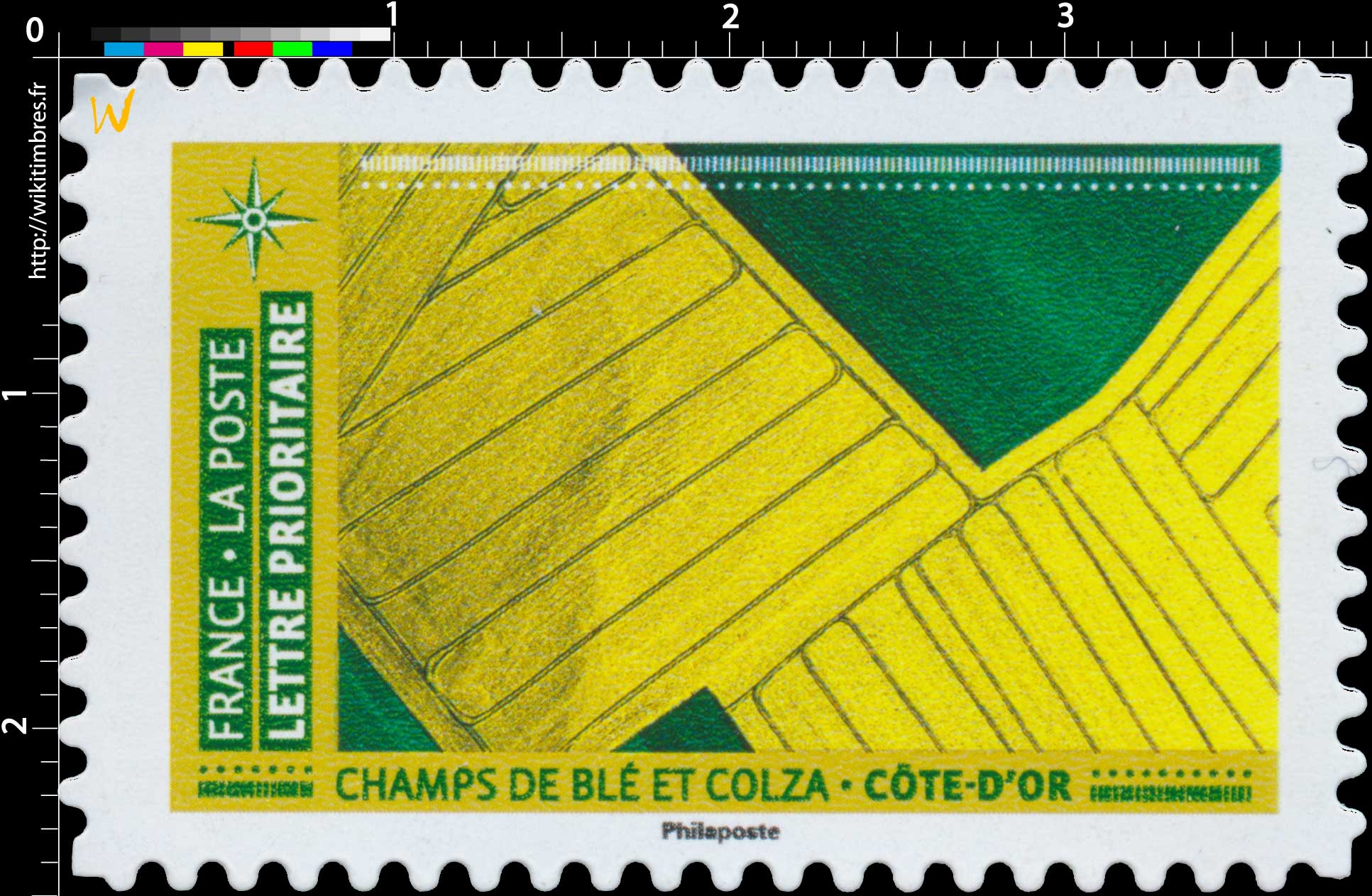 2021 CHAMPS DE BLÉ ET COLZA – CÔTE D’OR 