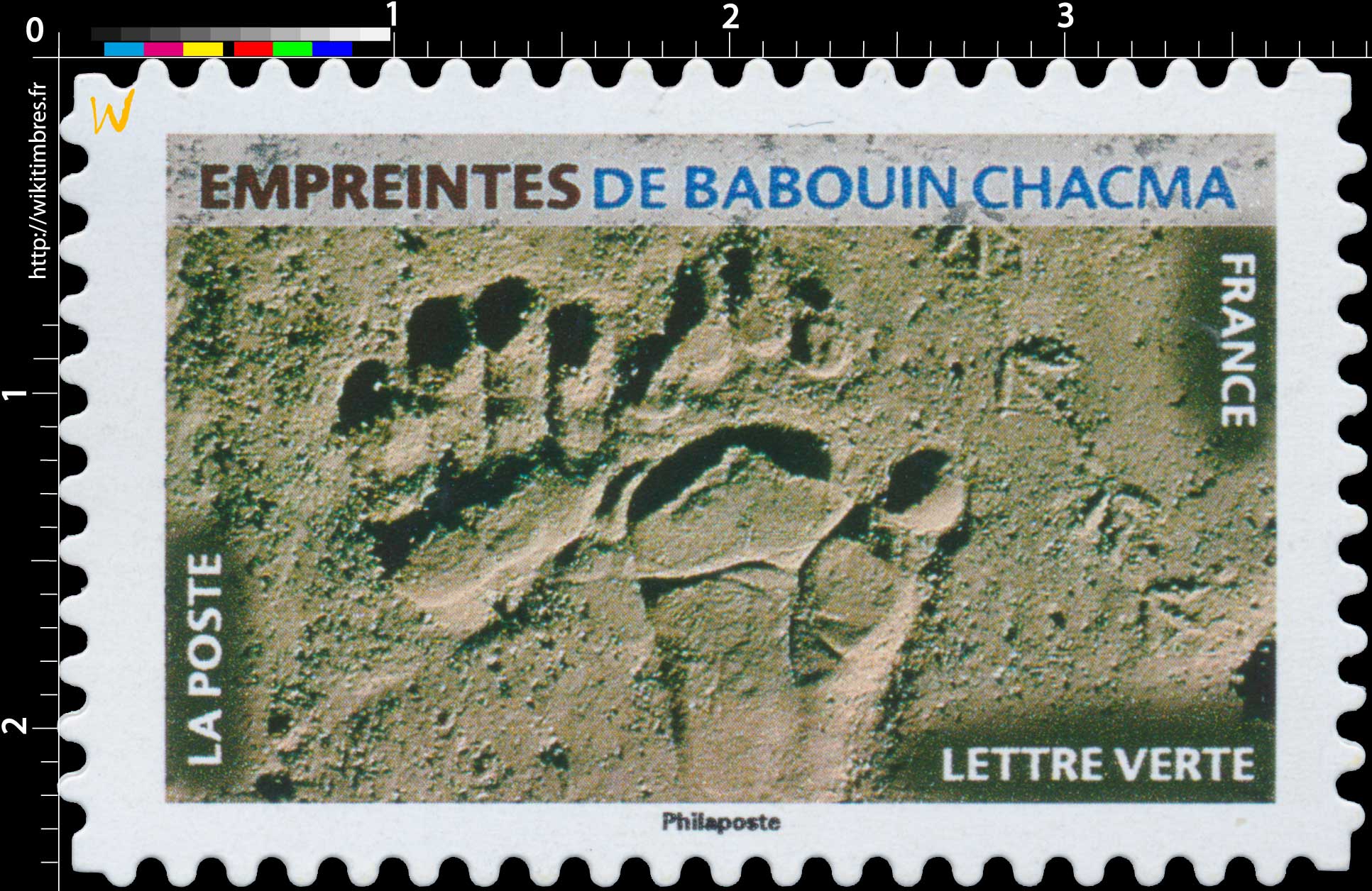 2021 Empreintes de babouin chacma 