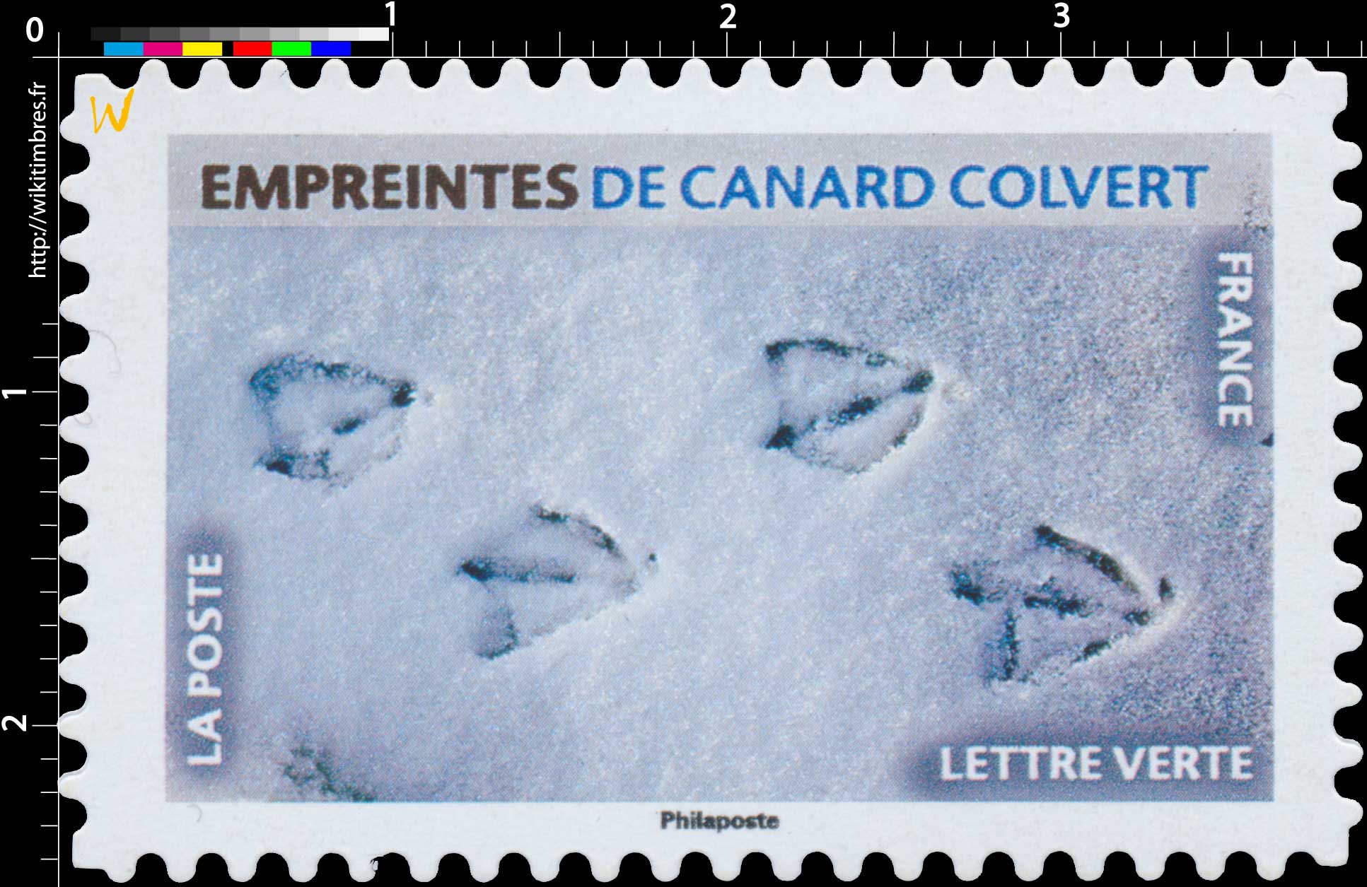 2021 Empreintes de canard colvert