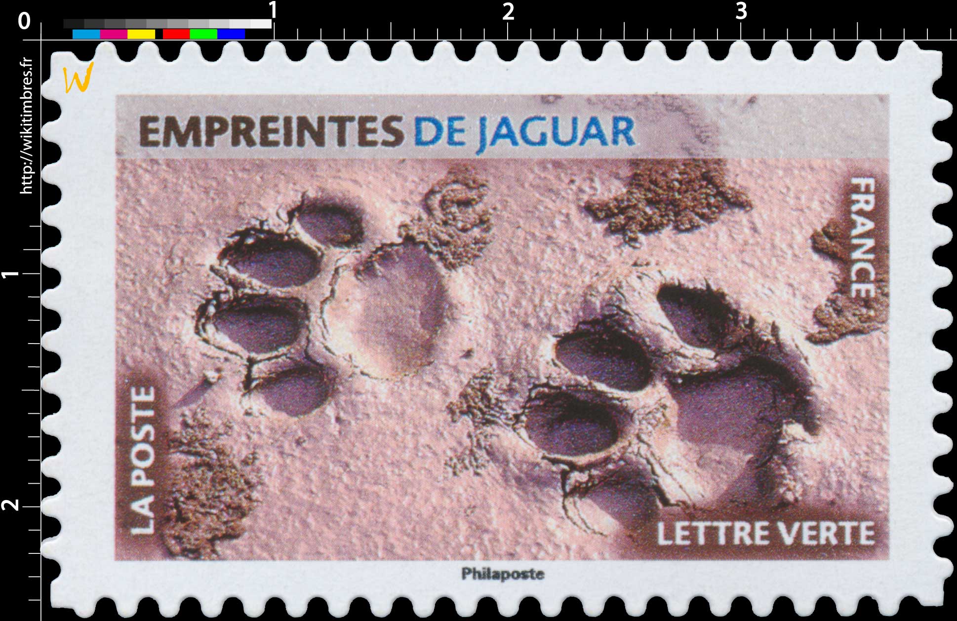 2021 Empreintes de jaguar 