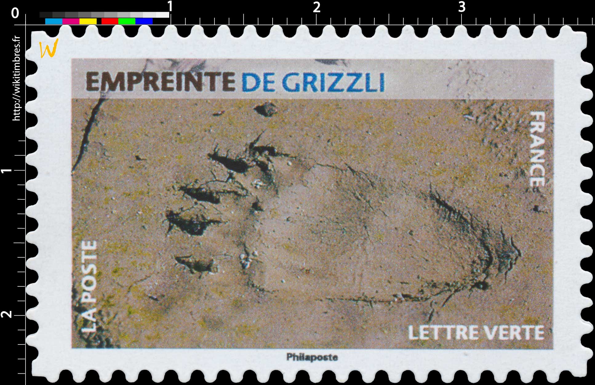 2021 Empreinte de grizzli 