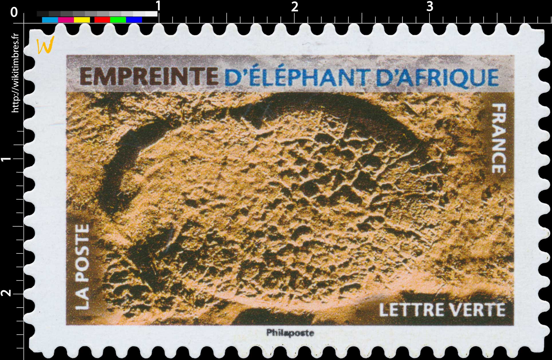 2021 Empreinte d’éléphant d’Afrique