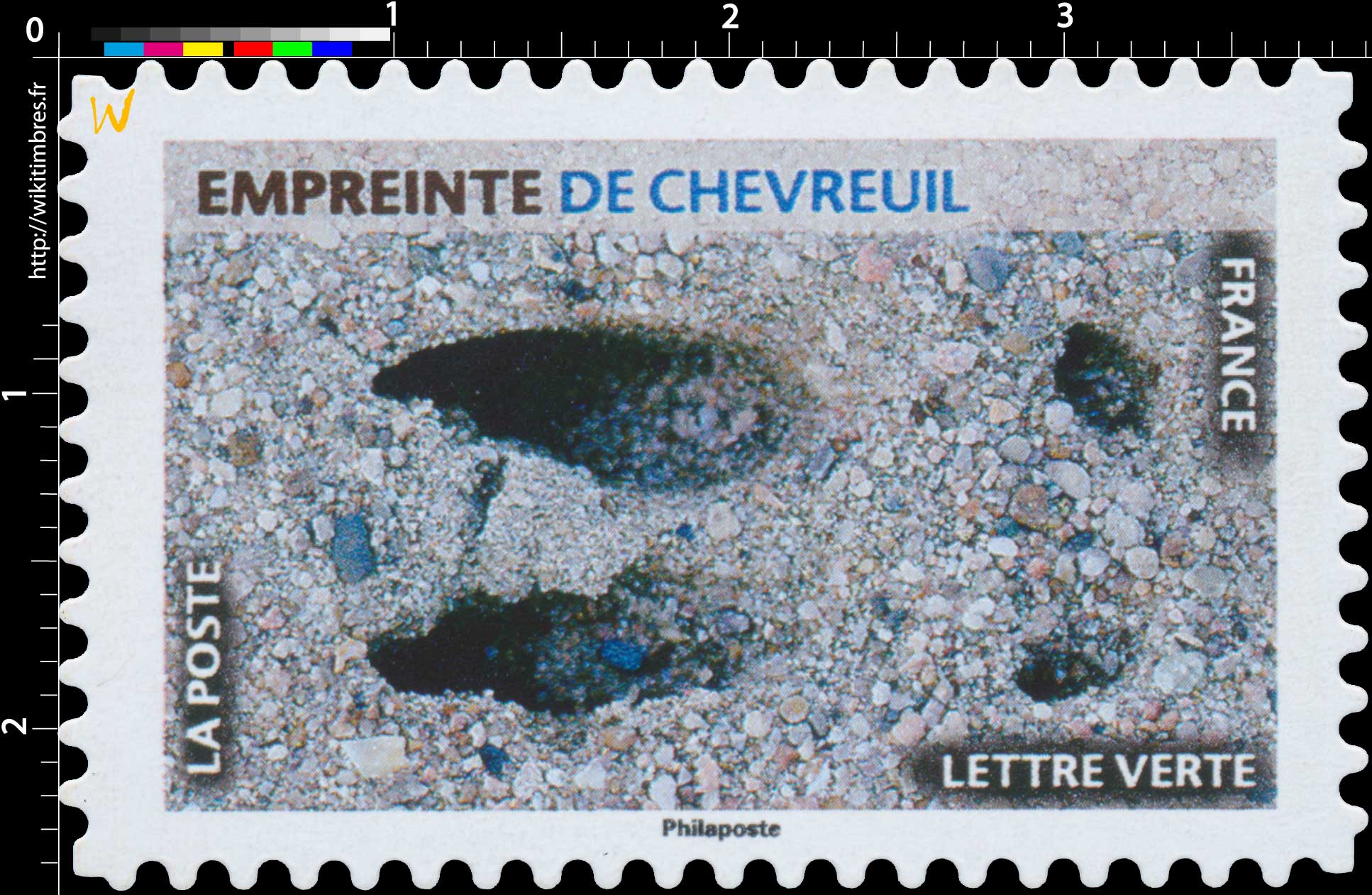 2021 Empreinte de chevreuil 