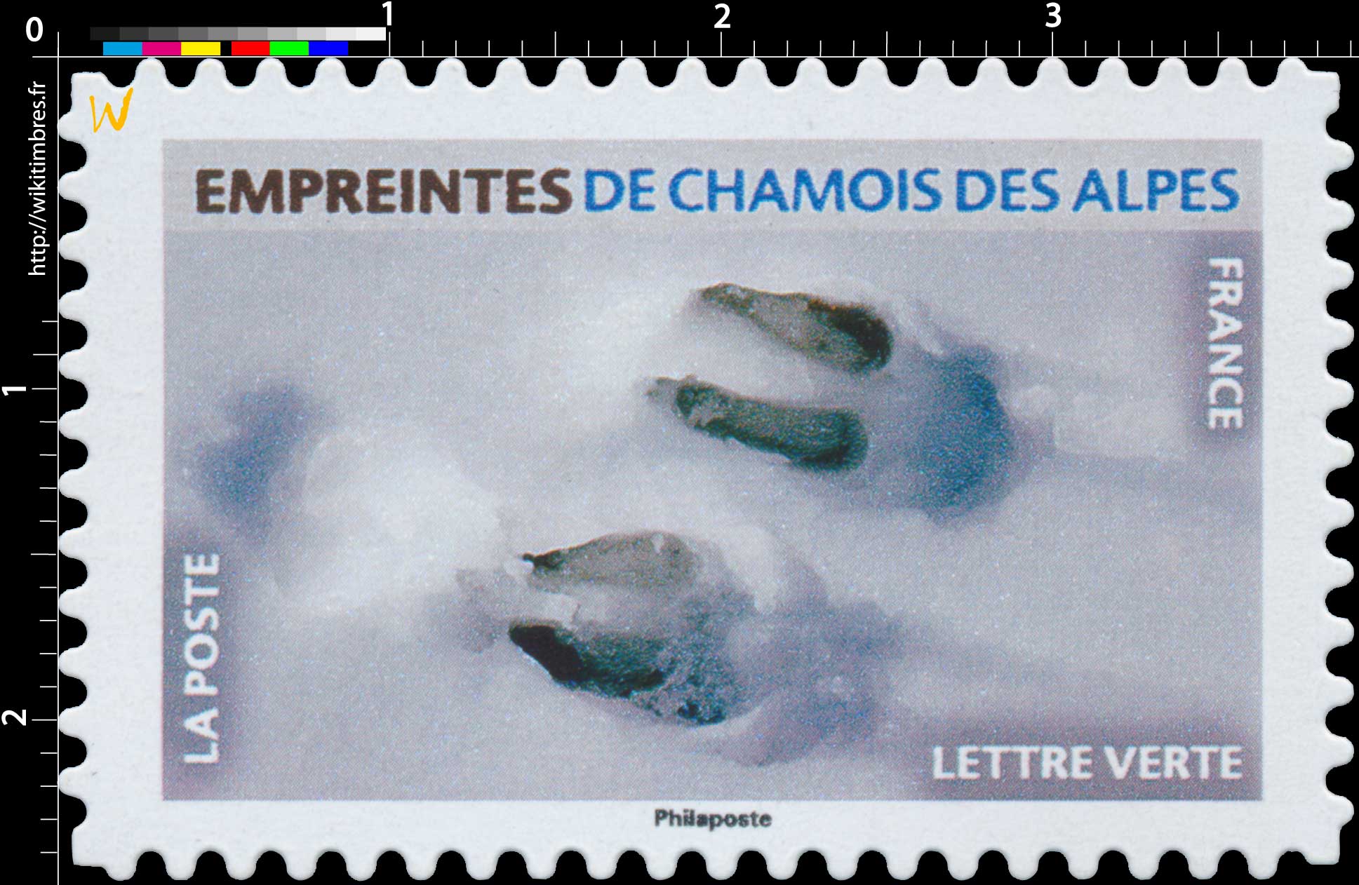 2021 Empreintes de chamois des Alpes