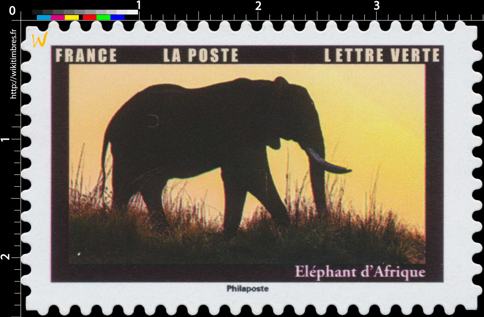 2022 Eléphant d’Afrique