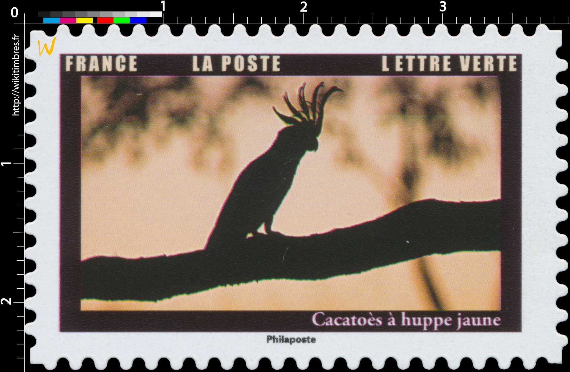 2022 Cacatoès à huppe jaune