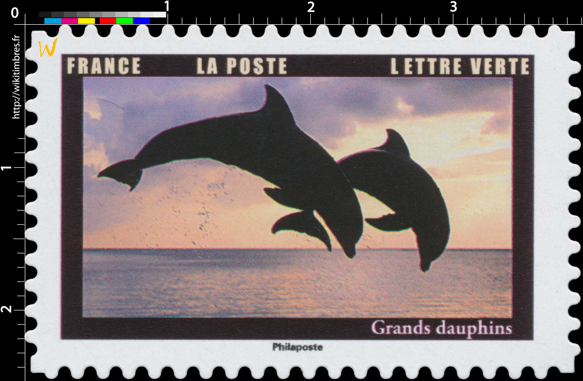 2022 Grands dauphins