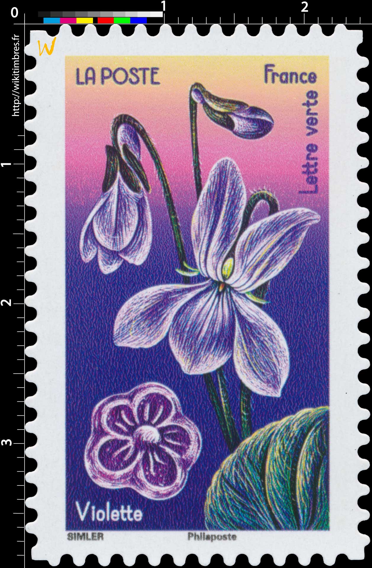 2022 Violette