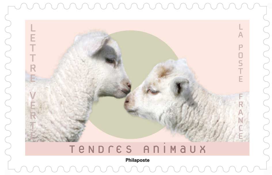 2023 TENDRES ANIMAUX