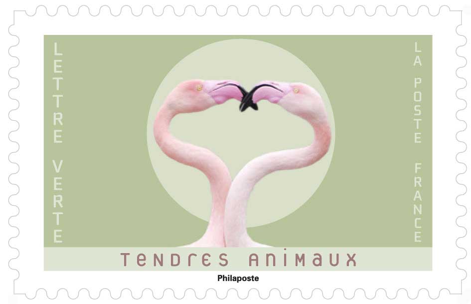 2023 TENDRES ANIMAUX