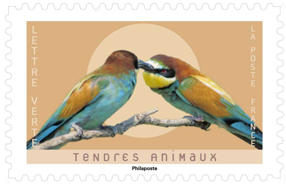 2023 TENDRES ANIMAUX