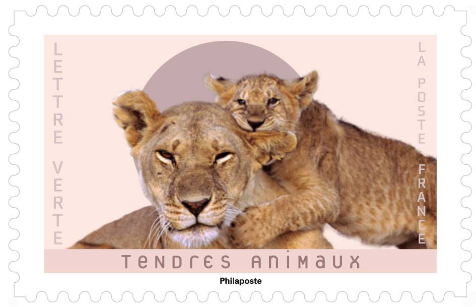 2023 TENDRES ANIMAUX