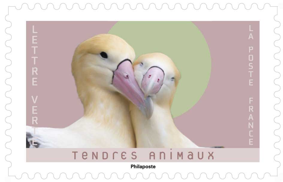 2023 TENDRES ANIMAUX